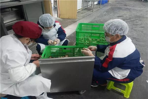 准备食材.jpg